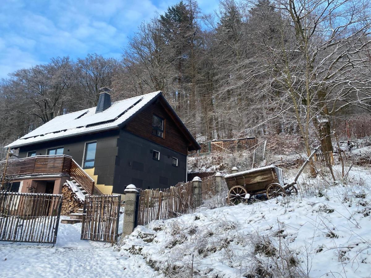 Chalet Hüttenzauber Zella-Mehlis Exterior foto